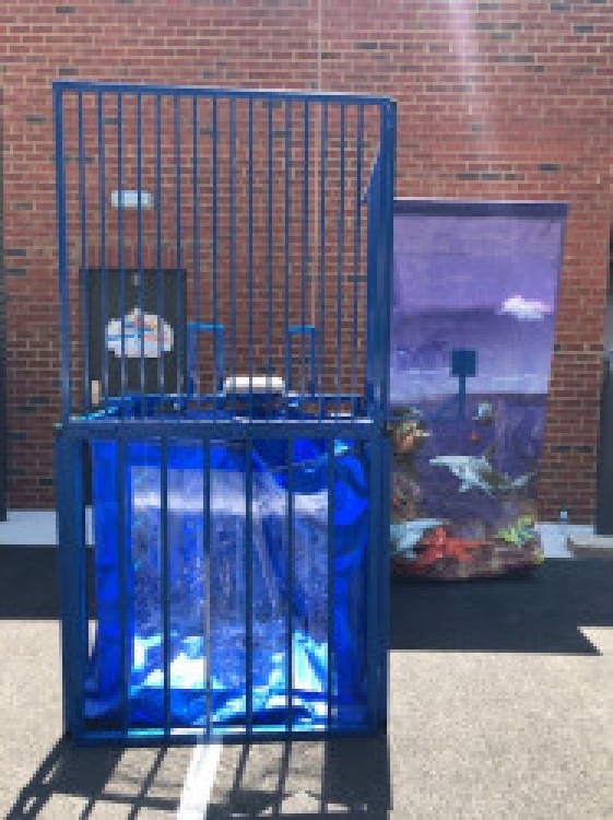 Dunk Tank
