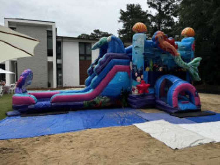 Mermaid Bounce and Slide