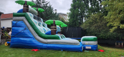IMG 20250911 WA0012 1757647302 1 15' Tropical Marble Water Slide
