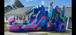 Mermaid 3 1771275746 Mermaid Dual lane Bounce and Slide